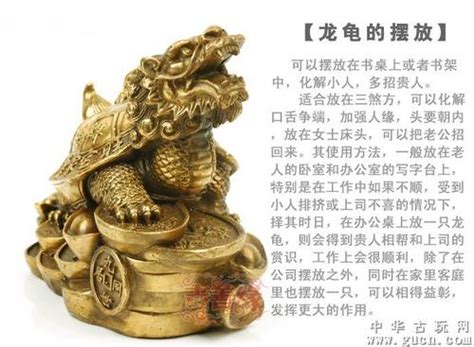 龙龟的摆放方法及禁忌需要注意什么,第3张 龙龟的摆放方法及禁忌需要注意什么,第3张